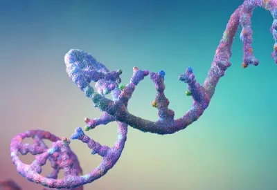 Computer-generated image of RNA molecule.