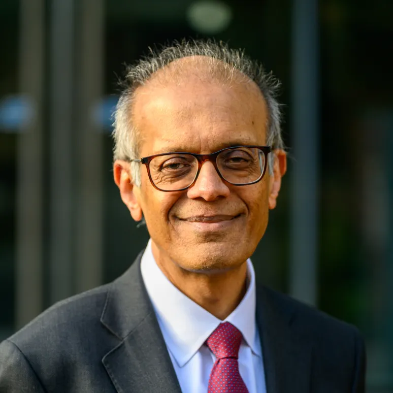 Portrait photo of Ajay Shah.