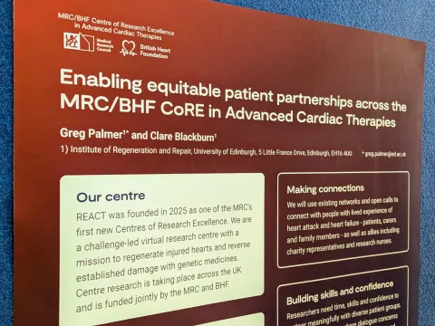 Photo of poster on display board.