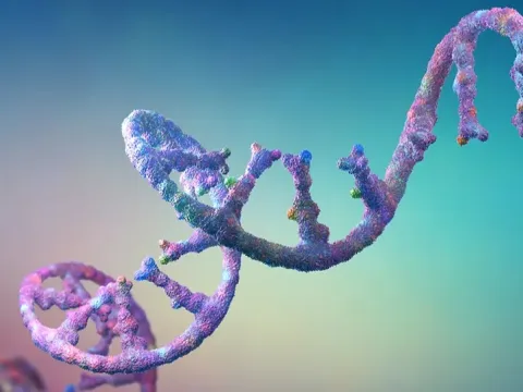 Computer-generated image of RNA molecule.